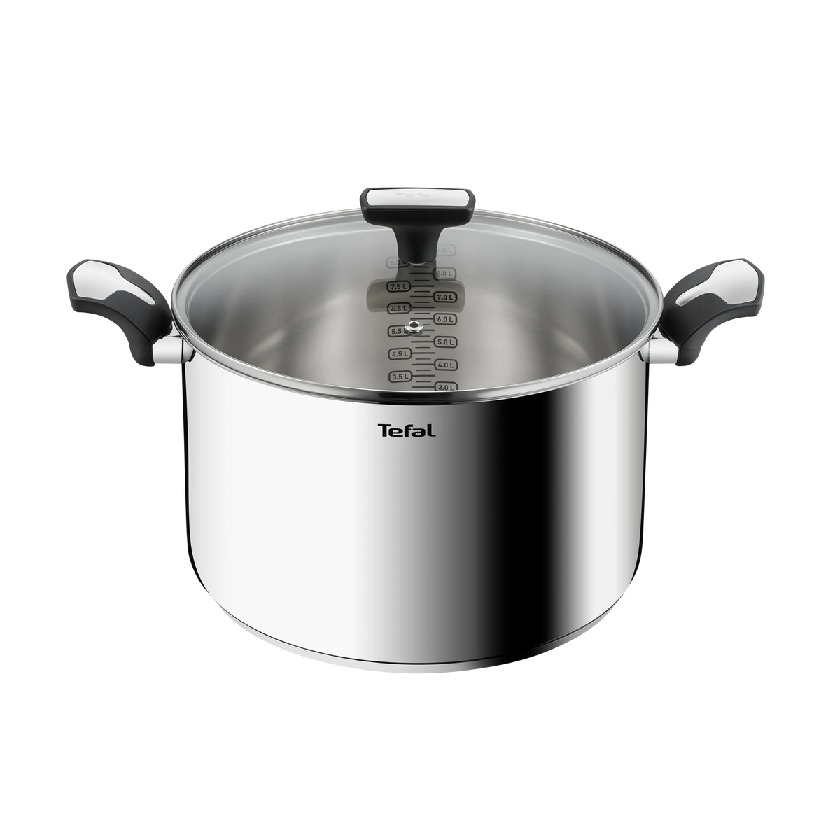Tefal Emotion Induction Stainless Steel Stockpot 28cm/9L