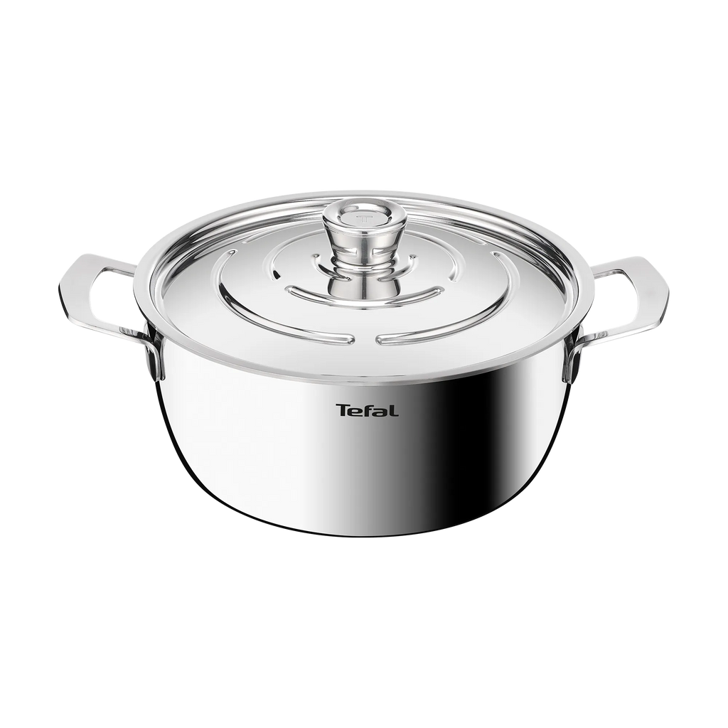 Tefal Emotion+ Gourmet Induction Stainless Steel Uncoated Dutch Oven 24cm