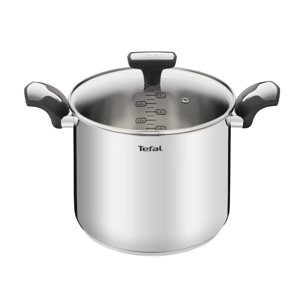 Tefal Emotion Induction Stainless Steel Stockpot 22cm/6L