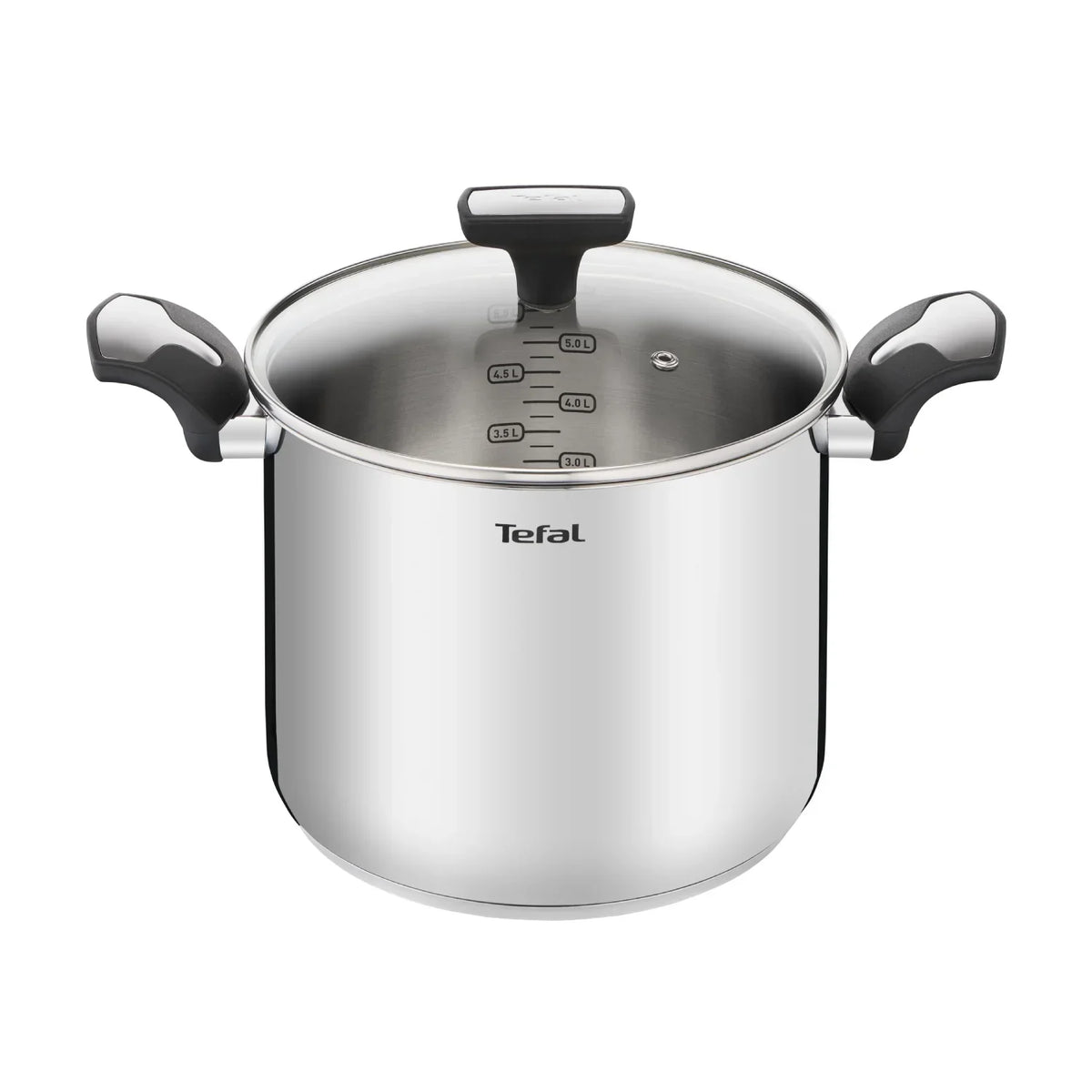 Tefal Emotion Induction Stainless Steel Stockpot 22cm/6L