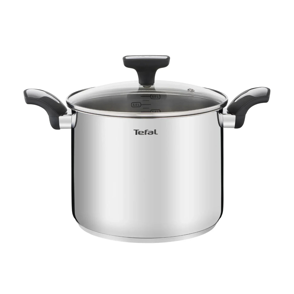 Tefal Emotion Induction Stainless Steel Stockpot 22cm/6L
