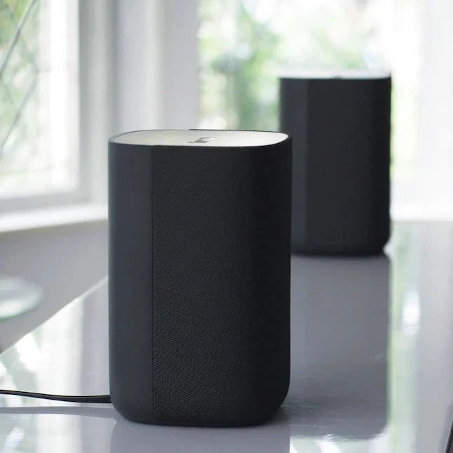 Roku 6.1-in 80-Watt Set of 2 Smart Indoor Portable Speaker💝 Last Day For Clearance