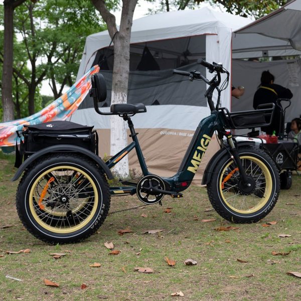20-Inch 48V 750W Foldable Fat-Tire Electric Trike, 330-Lb. Capacity