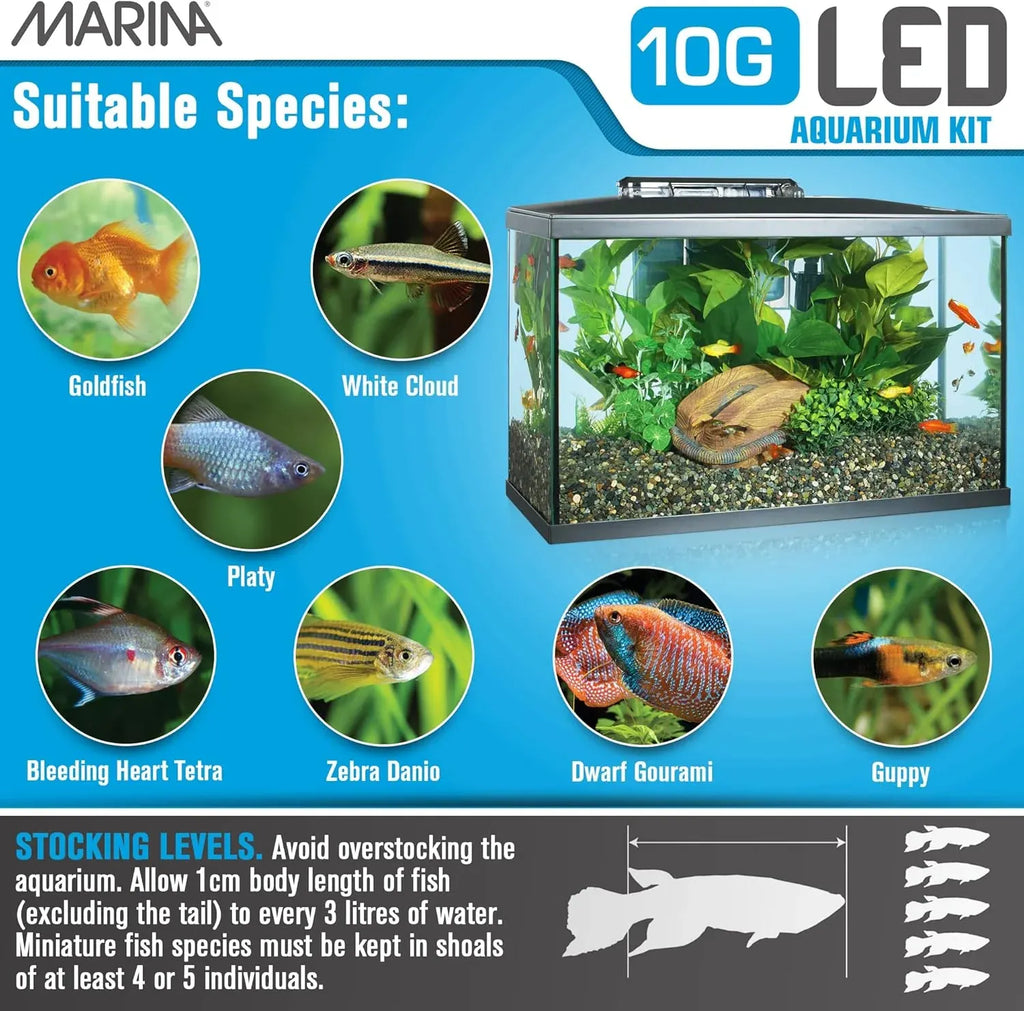 Marina LED Aquarium Kit, 10 gallon