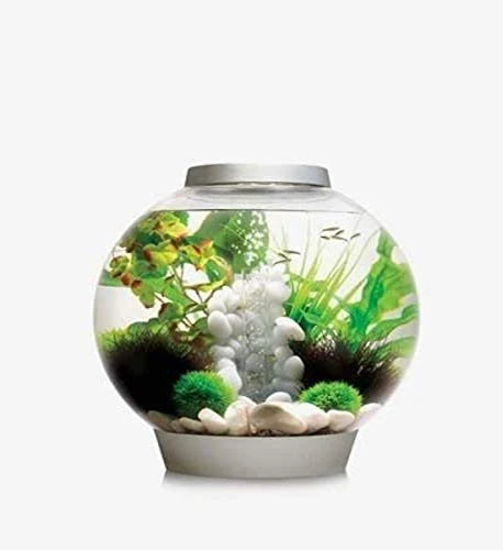 biOrb 8 Gallon Aquarium Multi Color Remote Controlled