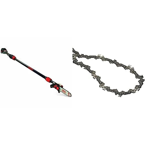 Oregon PS250 Pole Saw with 4.0 Ah Battery and Standard Charger, Cordless Rechargeable Extendable Shaft Branch Cutter and Low Noise (563454)
