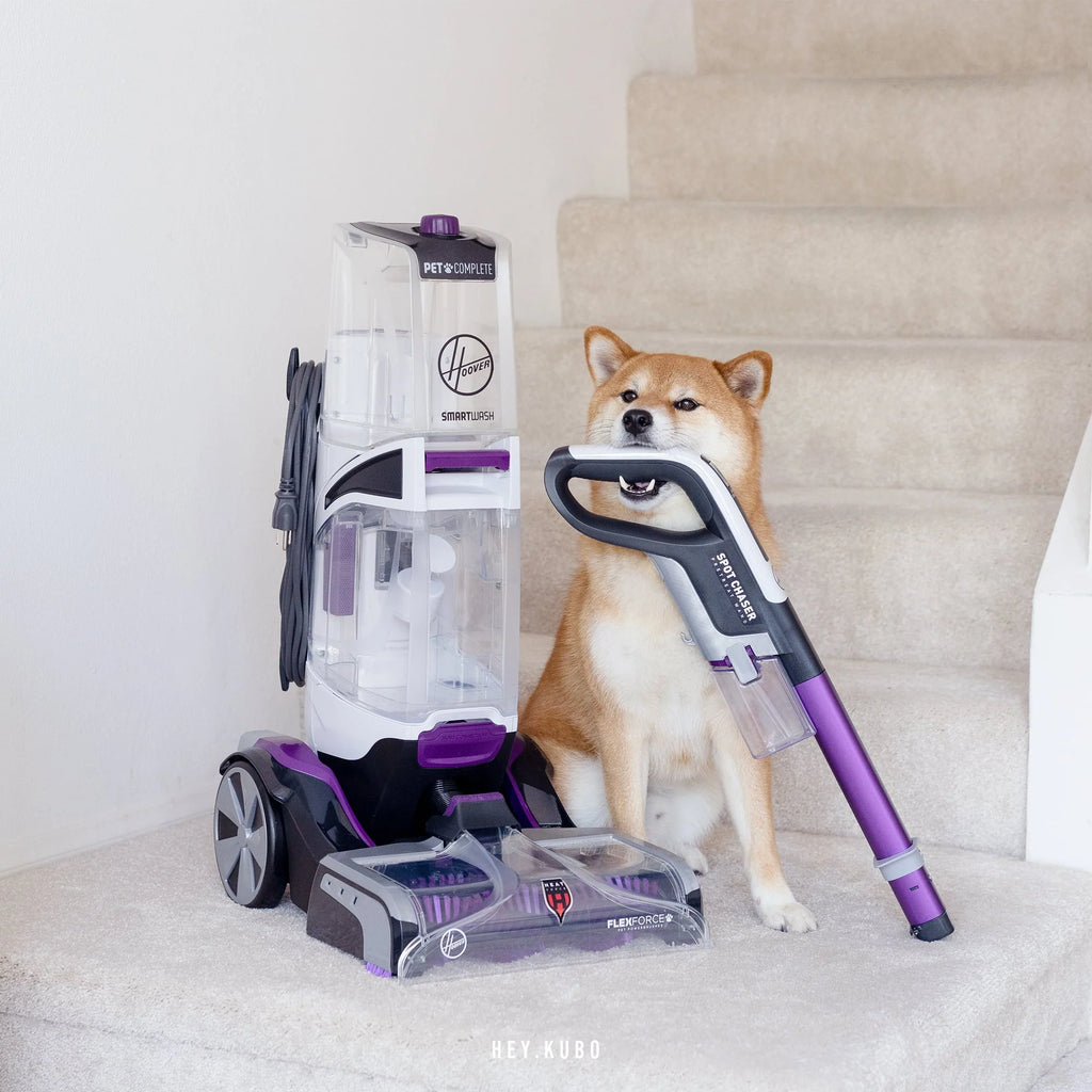 Hoover SmartWash Pet Complete Automatic Carpet Cleaner Machine， FH53010