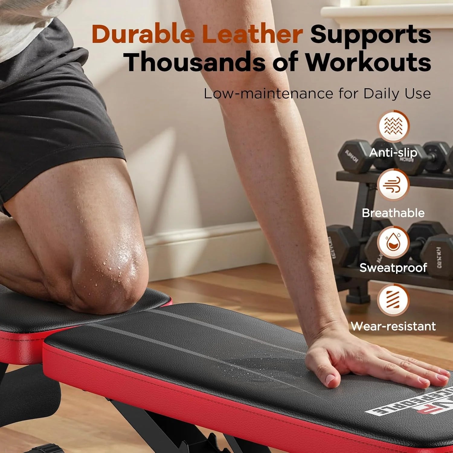 Basic Weight Bench for Home Gym, Foldable Workout Bench with 8 Backrests, 660LBS Weight Capacity Adjustable Bench