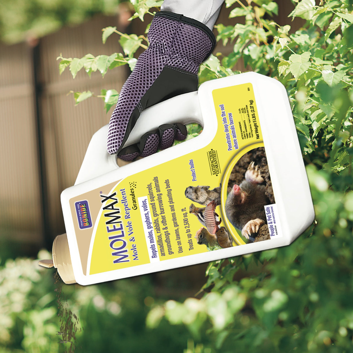 Bonide 6914 5 LB Container of Molemax Mole, Vole & Gopher Repellent Granules