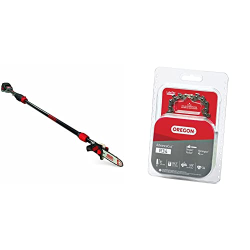 Oregon PS250 Pole Saw with 4.0 Ah Battery and Standard Charger, Cordless Rechargeable Extendable Shaft Branch Cutter and Low Noise (563454)