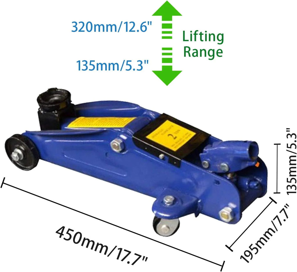 Dayplus Hydraulic Floor Jack 2 Ton Quick Rise Steel Floor Jack with Carrying Storage Case