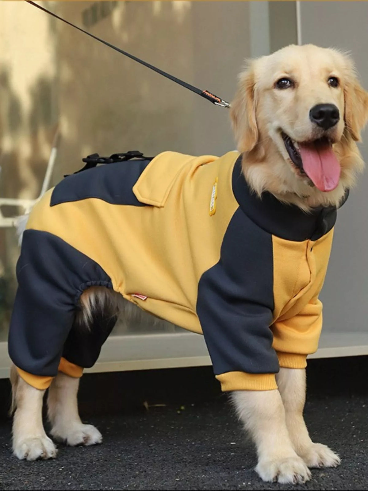 Two-Tone Dog Jacket