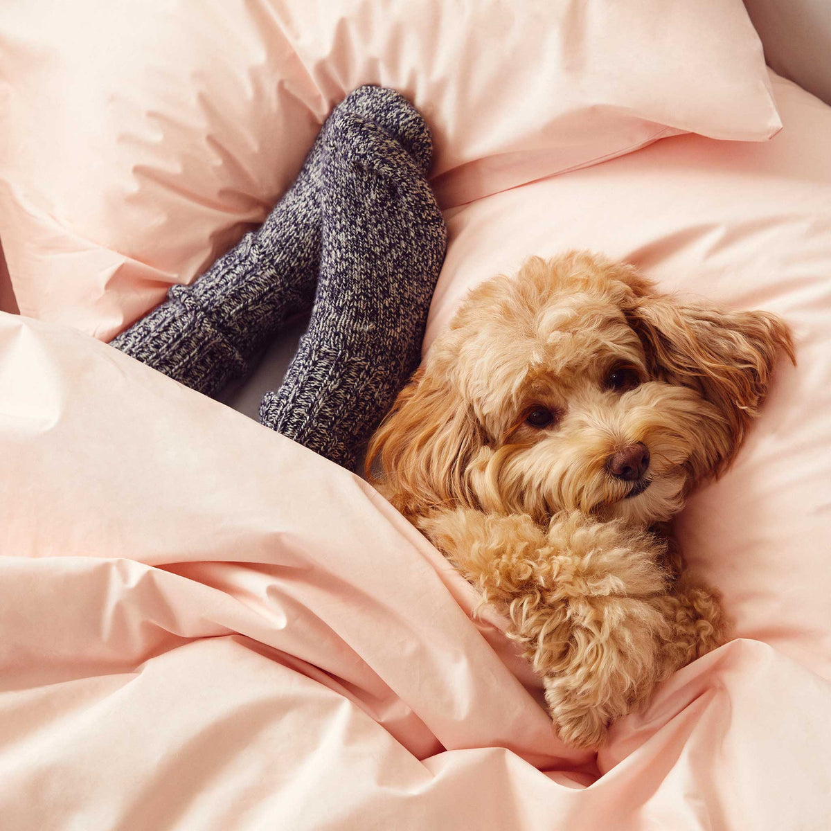 Rewards Luxe Pillowcase Set