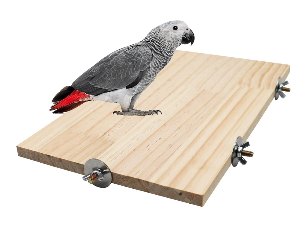 Multi-Size Bird Perch Play Platform