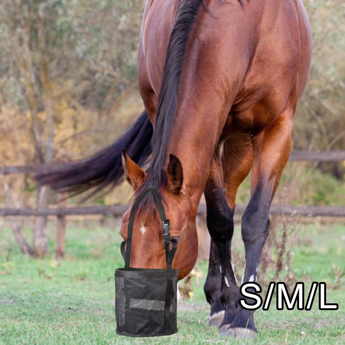 Adjustable Multi-Size Black and Blue Horse Feed Bag