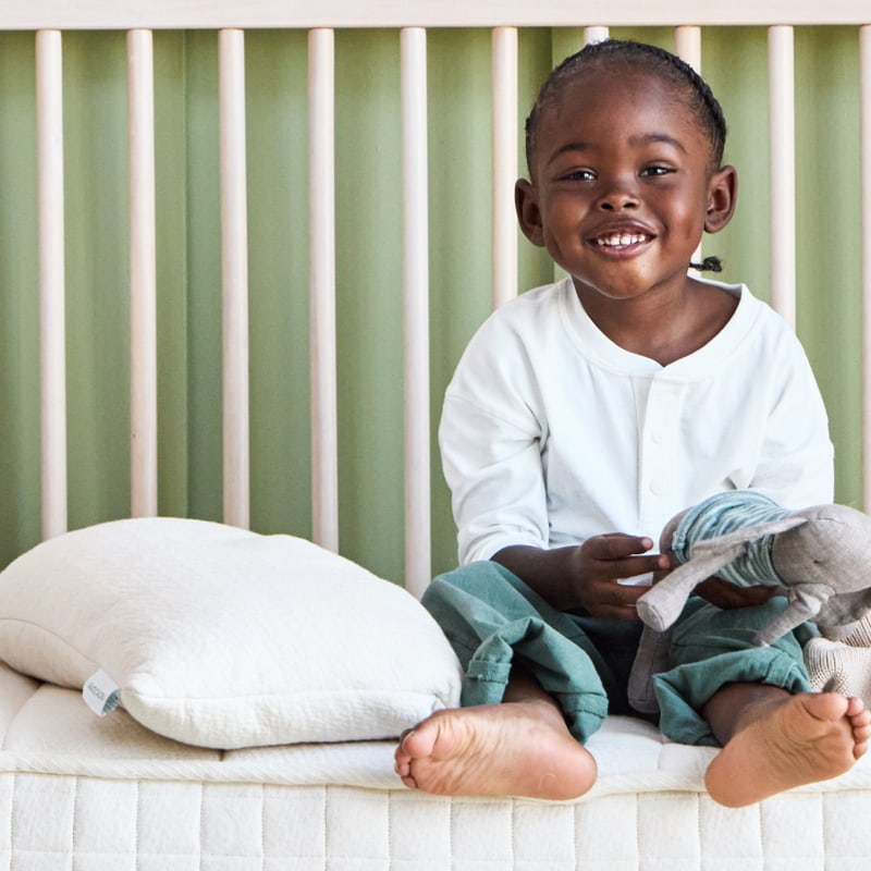 Organic Toddler Pillow