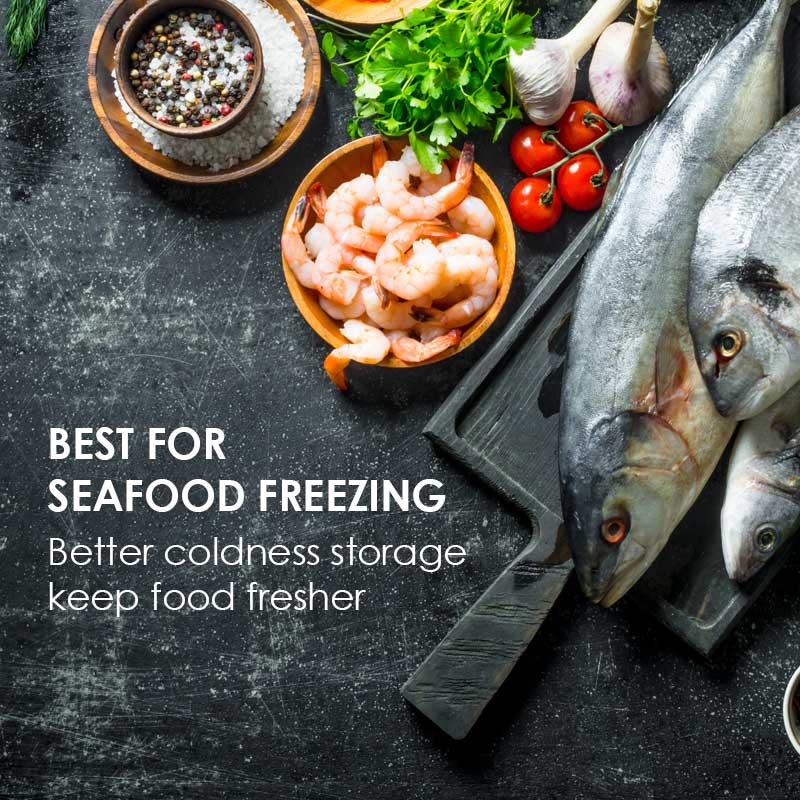250L Chest Freezer CFC Free (PPFZ250)