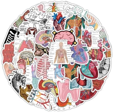 100Pcs Anatomy Stickers,PEGTMVE Human Anatomy Decals, Body Part Stickers, Brain Stickers, Physiology Stickers, for Mobile Phones Computers Refrigerators Bicycles Cars Helmets