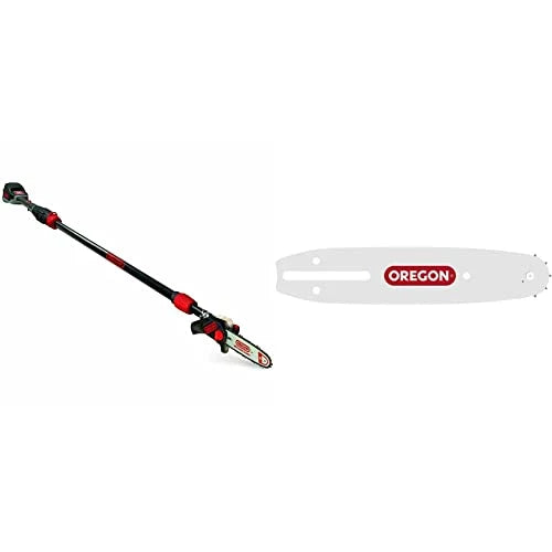 Oregon PS250 Pole Saw with 4.0 Ah Battery and Standard Charger, Cordless Rechargeable Extendable Shaft Branch Cutter and Low Noise (563454)