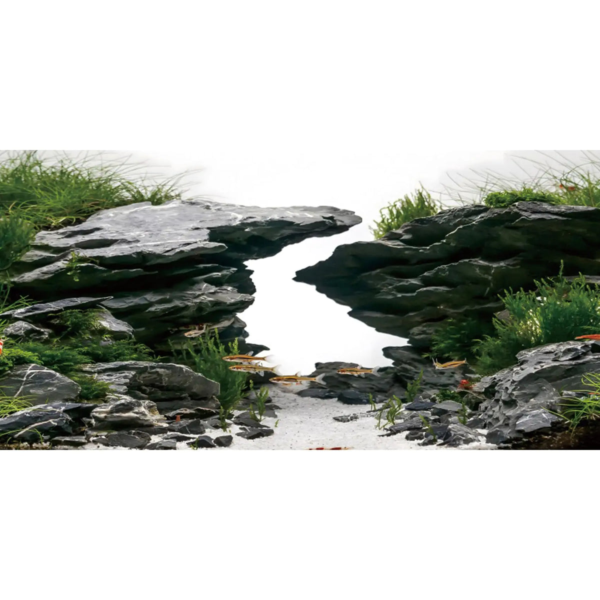 AWERT River & Lake Scenic Aquarium Background